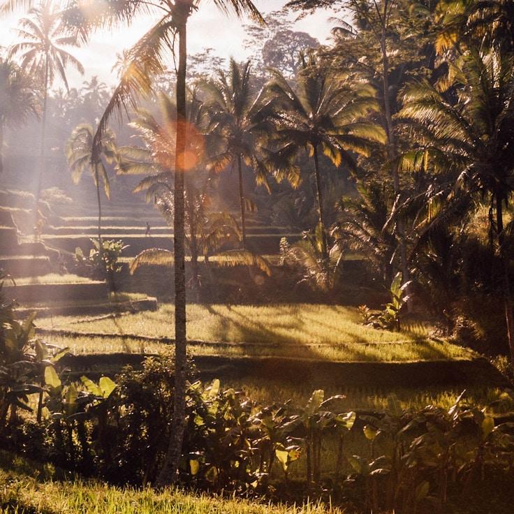 Family terraces and cafés for calm evenings in Utrecht